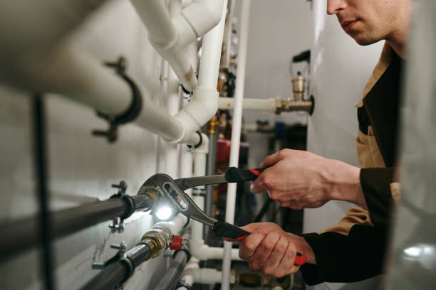 Best Clogged Drain Plumber  in Clayton, IN
